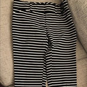 new york & company dress pants
